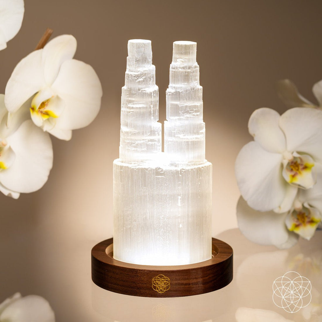 Two-Tower Selenite Lamp – Deep Energy Cleanse & Reset